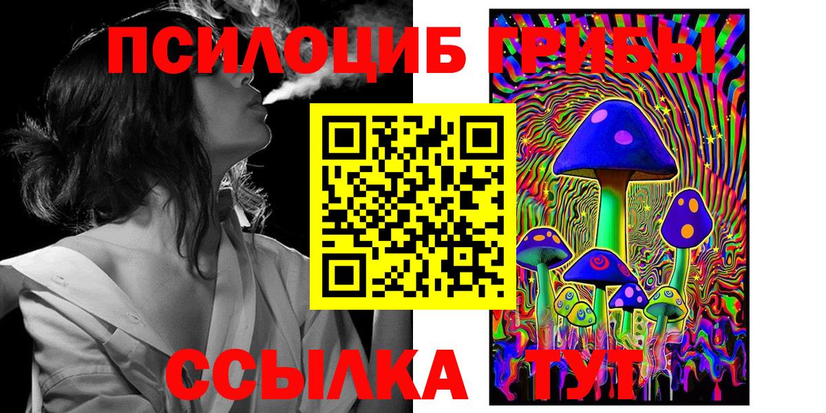 Псилоцибиновые грибы Psilocybe  Вход с VPN  Белогорск 